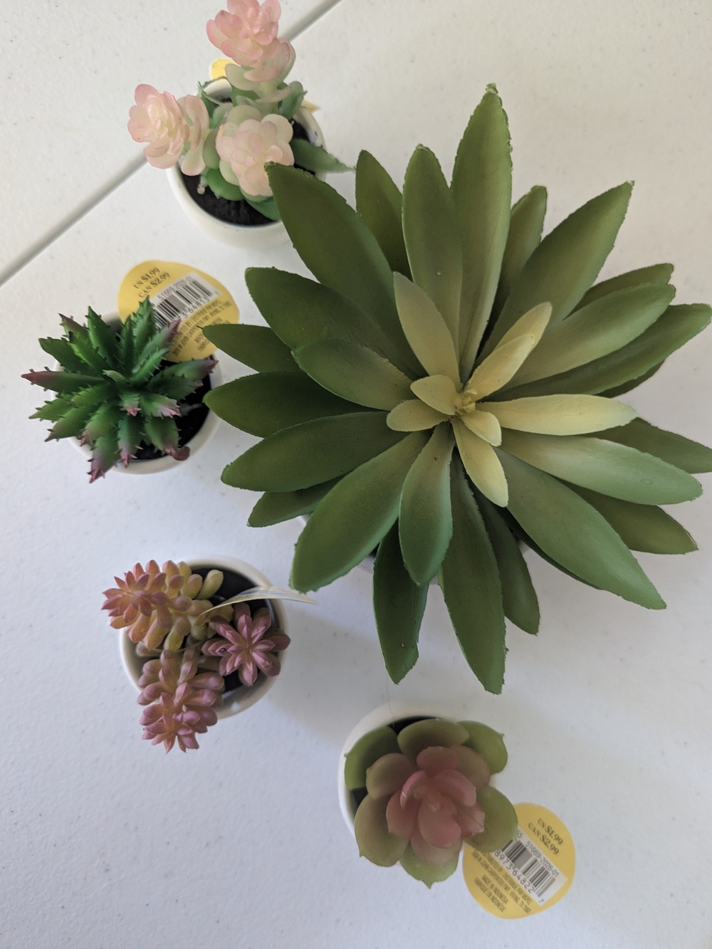 Ashland Faux Succulent Mix in Green and Pink